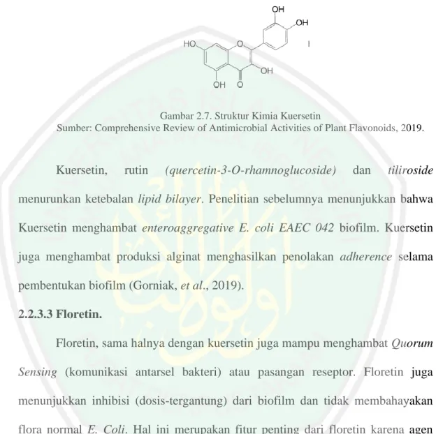 Gambar 2.7. Struktur Kimia Kuersetin 
