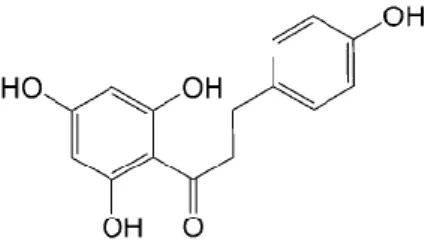 Gambar 2.8. Struktur Kimia Floretin 