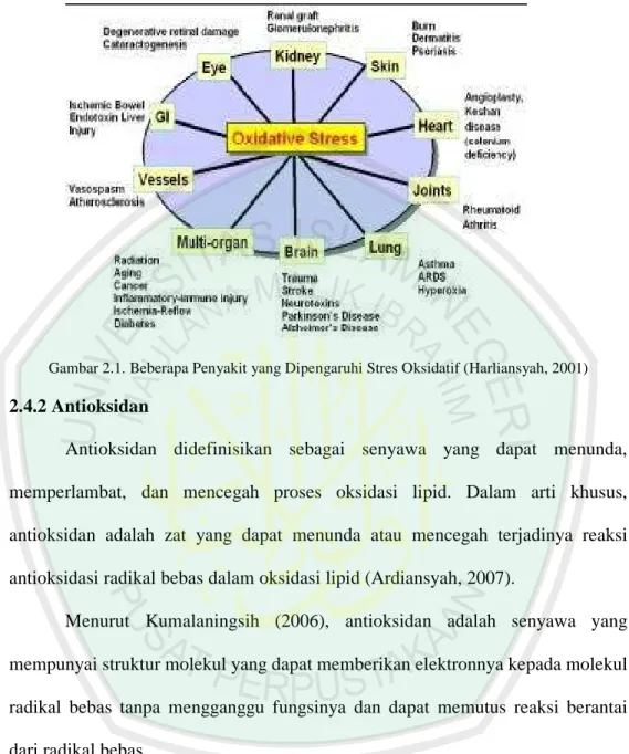 Gambar 2.1. Beberapa Penyakit yang Dipengaruhi Stres Oksidatif (Harliansyah, 2001)  2.4.2 Antioksidan 