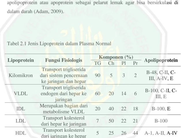Tabel 2.1 Jenis Lipoprotein dalam Plasma Normal 