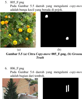 Gambar 5.5 (a) Citra Copy-move 005_F.png, (b) Ground 