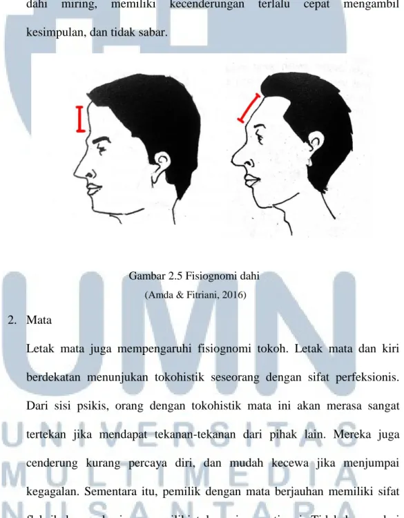 Gambar 2.5 Fisiognomi dahi   (Amda &amp; Fitriani, 2016) 