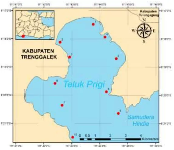 Gambar 2.3 Lokasi Teluk Prigi (PPO LIPI, 2016) 