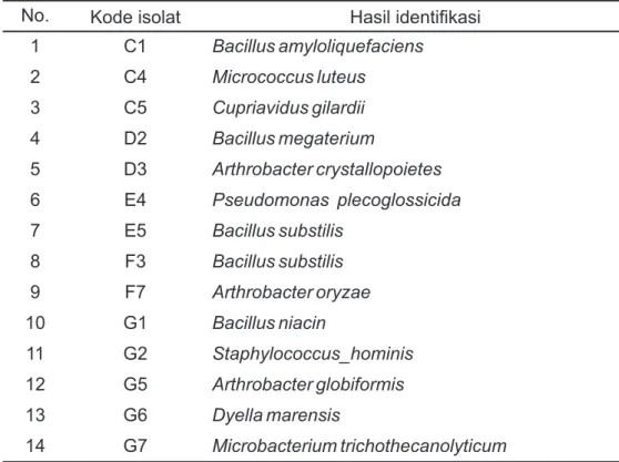 Tabel 1. Jumlah bakteri total dari beberapa sampel tanah di Pulau Lombok Table 1. Total number of bacteria from some soil samples in Lombok Island
