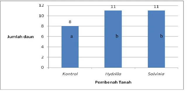 Tabel 3. Rerata Jumlah Daun Tanaman Kacang Hijau pada Usia Budidaya 3 Minggu. 