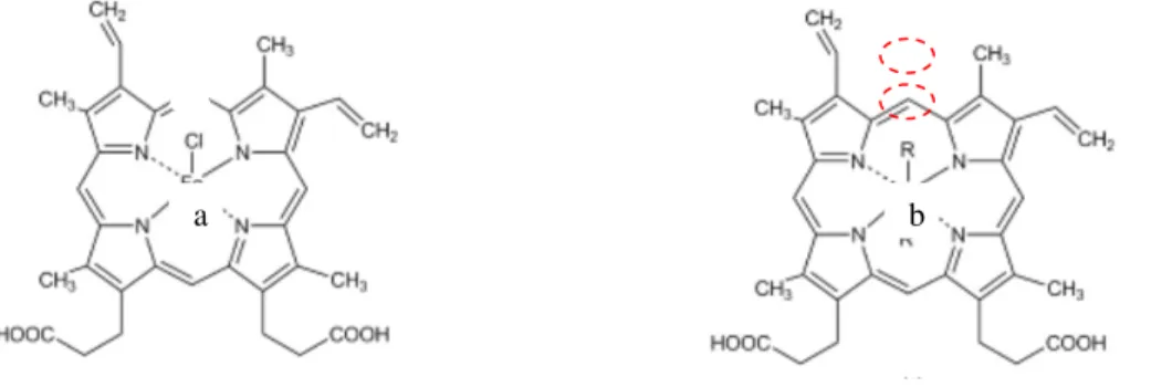 gambar 4.2  Struktur kimia heme sebelum pemeriksaan Takayama (a)  dan  setelah pemeriksaan Takayama (b) (R=pyridine)
