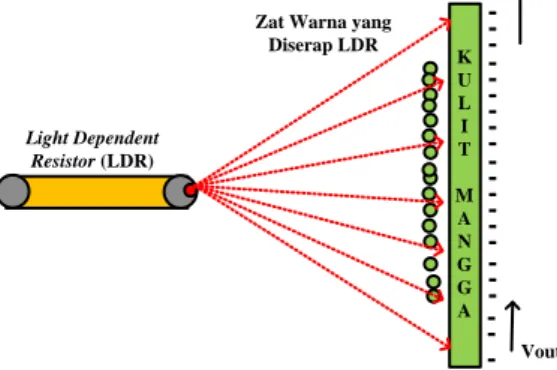 Gambar 2.  Interaksi Zat Pigmen Buah Mangga Terhadap Sensor LDR 