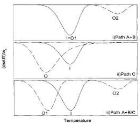 Gambar 2.11 Kerangka teoritis: pola DTG (differential thermogravimetry) 