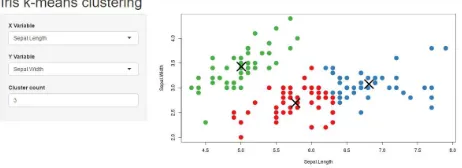 Gambar 2.5: Visualisasi klaster rshiny