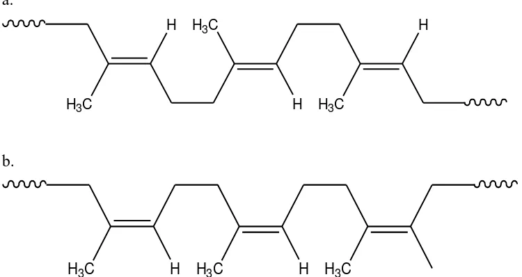 Gambar 2.2. Struktur Ruang Isomer Cis dan Trans Karet Alam 