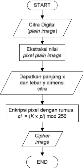 Gambar 3.3 Flowchart enkripsi plain image dengan algoritma Hill cipher 