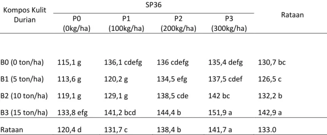 Tabel 4. Uji beda rataan tinggi tanaman pada beberapa taraf  perlakuan  kompos  kulit durian  dan pupuk SP36 pada umur tanaman jagung (Zea mays L.) 7 MST (cm)