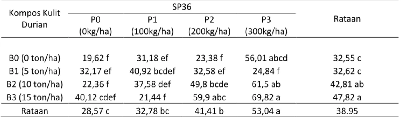 Tabel 5. Uji beda rataan  bobot kering tajuk  pada  beberapa taraf  perlakuan  kompos kulit  durian dan pupuk SP36 pada umur tanaman jagung (Zea mays L.) 7 MST (g)