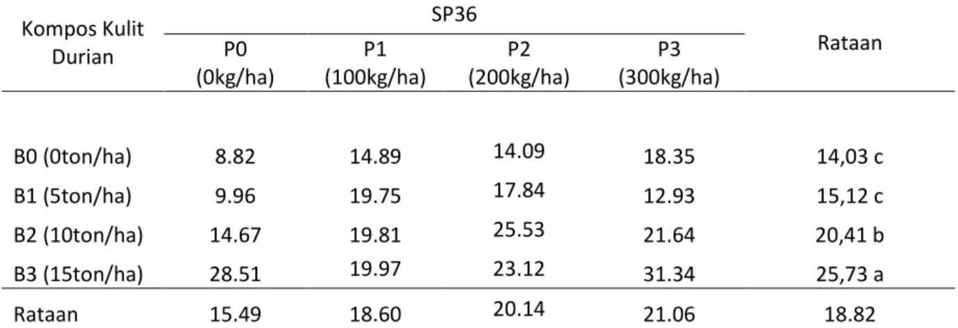 Tabel  6. Uji  beda rataan   bobot  kering akar  pada  beberapa taraf  perlakuan  kompos kulit  durian dan pupuk SP36 pada umur tanaman jagung (Zea mays L.) 7 MST (g)