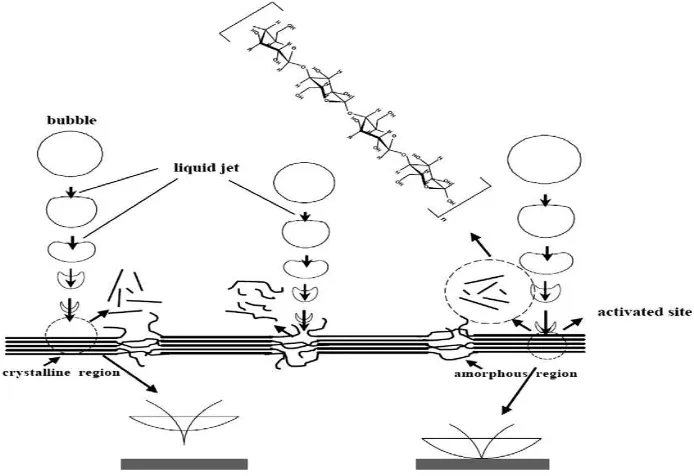 Gambar 2.5 Diagram skematik dari proses ultrasonikasi MCC [63] 
