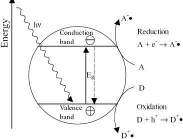 Gambar 2.2  Proses fotokatalis TiO2 (Benedix, 2000). 