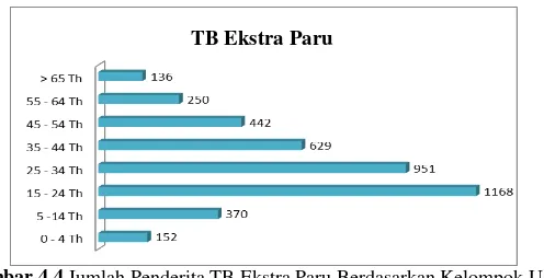 Gambar 4.4  Jumlah Penderita TB Ekstra Paru Berdasarkan Kelompok Usia 