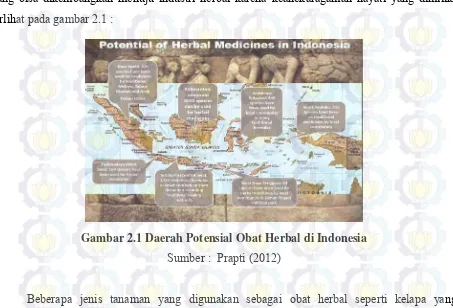 Gambar 2.1 Daerah Potensial Obat Herbal di Indonesia 