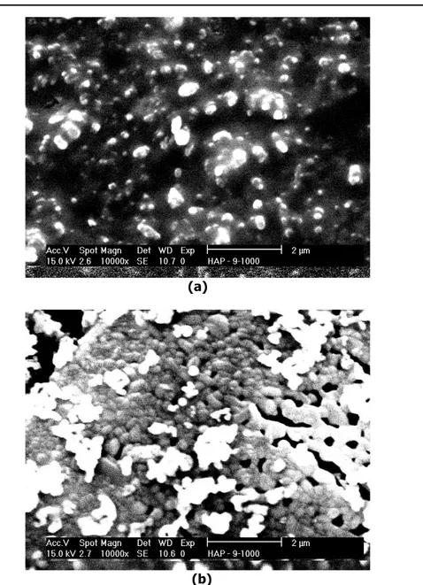 Gambar 9. (a) dan (b)   Gambar  struktur  mikro  dari  sampel  HAp  sintesis  pada   pH 9 dan suhu 1000 o C pada dua tempat berbeda 