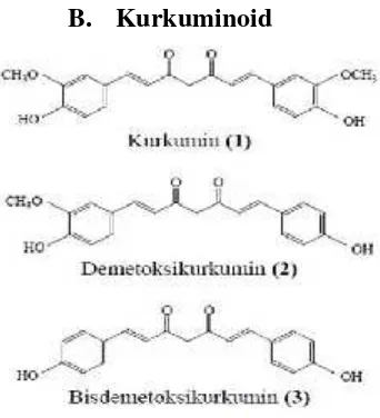 Gambar 1. Struktur kurkuminoid (Kristina, Noveriza, Syahid, dan Rizal,
