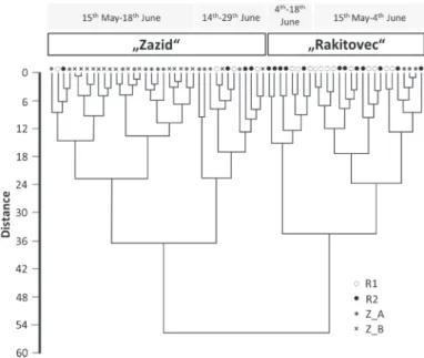 Fig. 4. Cluster analysis (Euclidean distance, Ward’s method) of 64 OUs of butterfly species  recorded at three sampling plots from Kraški rob (15th of May–29th of June, 2012)