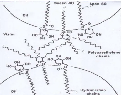 Gambar 2.5 Gambaran skematis dari tetesan minyak dalam suatu emulsi minyak-air menunjukkan orientasi molekul Tween dan Span pada antarmuka (Martin, dkk., 1993)