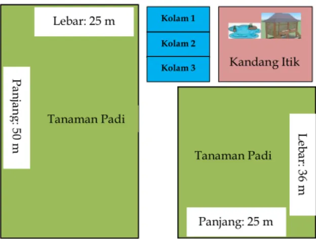 Gambar 1. Tata letak pilot project penelitian Desa Kimak, Kabupaten Merawang 