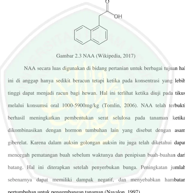 Gambar 2.3 NAA (Wikipedia, 2017)  