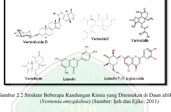 Gambar 2.2 Struktur Beberapa Kandungan Kimia yang Ditemukan di Daun afrika  (Vernonia amygdalina) (Sumber: Ijeh dan Ejike, 2011) 