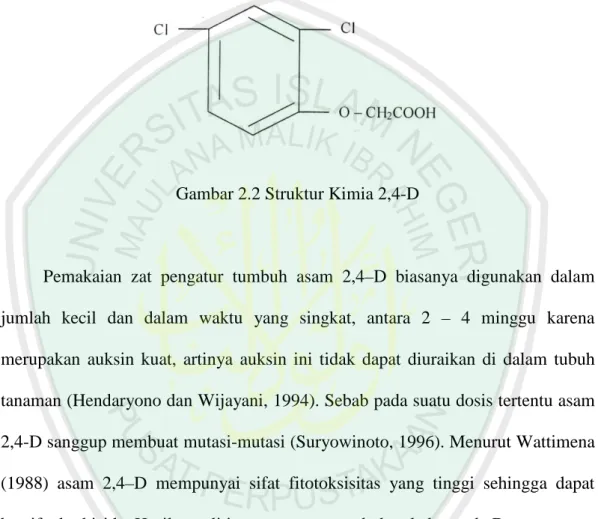 Gambar 2.2 Struktur Kimia 2,4-D 