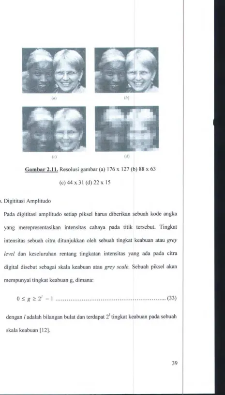 Gambar 2.11. Resolusi gambar (a) 176 x 127 (b) 88 x 63 