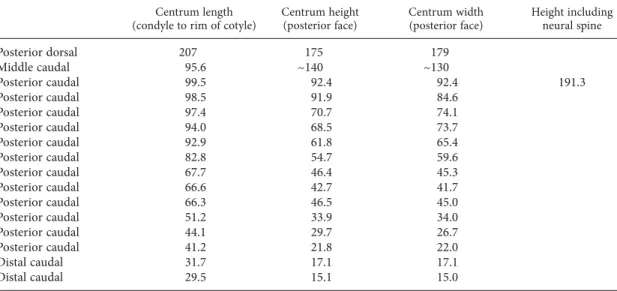 TABLE  2.  Measurements of titanosaurian dorsal and caudal vertebrae from Bur Guvé (IGM 100/3005)