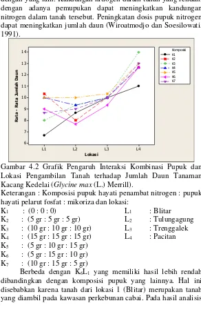 Gambar 4.2 Grafik Pengaruh Interaksi Kombinasi Pupuk dan 