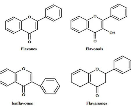 Gambar 2.4 Klasifikasi dan Struktur Kimia Flavonoid 