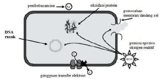Gambar 2.1  Mekanisme antibakteri Ag+ (Sotya, 2013)  