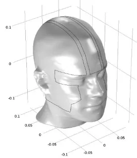 Gambar 4.1   Model kepala manusia 3 dimensi 