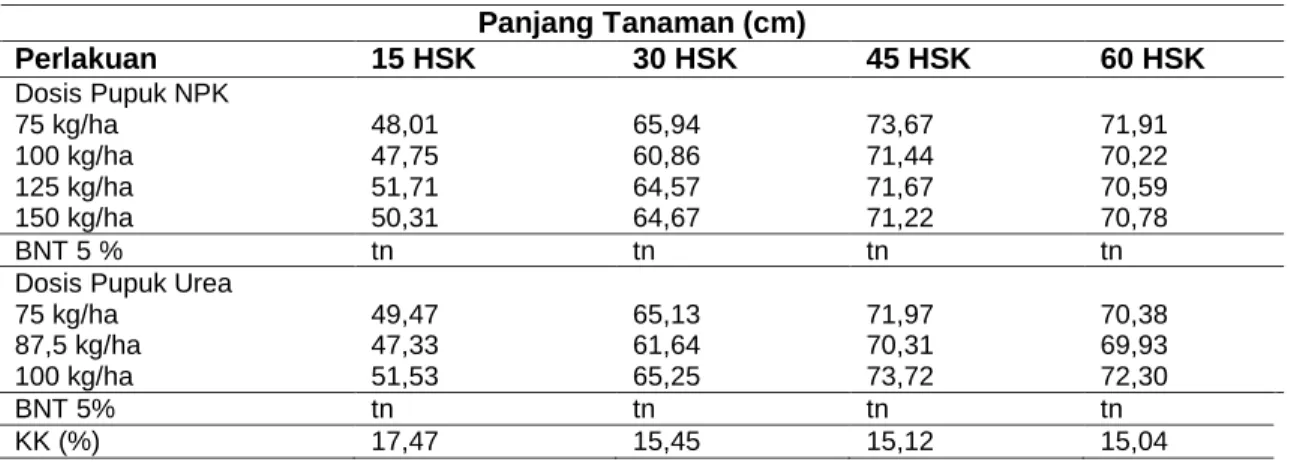 Tabel 1 Rerata Tinggi Tanaman Padi Ratun 