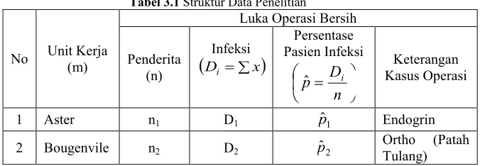 Tabel 3.1 Struktur Data Penelitian 