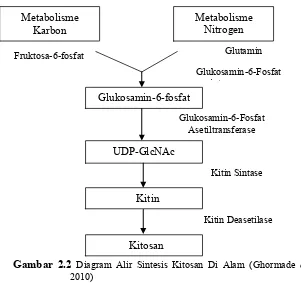 Gambar 2.2 Diagram Alir Sintesis Kitosan Di Alam (Ghormade et al.,  