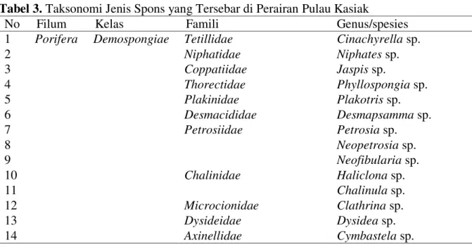 Tabel 3. Taksonomi Jenis Spons yang Tersebar di Perairan Pulau Kasiak 