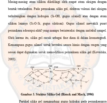 Gambar 3. Stuktur Silika Gel (Hauck and Mack, 1996) 