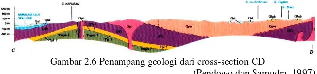 Gambar 2.6 Penampang geologi dari cross-section CD  