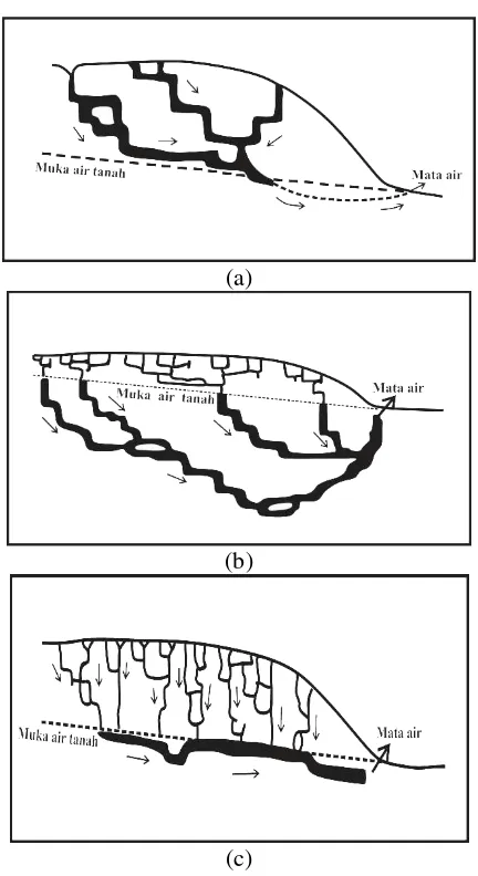 Gambar 2.3 Teori terbentuknya goa dan sungai bawah permukaan yang di dominasi karst (a) teori vadose, (b) teori Freatik Dalam (Deep Phreatic Theory), (c) teori freatik dangkal (shallow Phreatic Theory) (Handayani, 2009) 