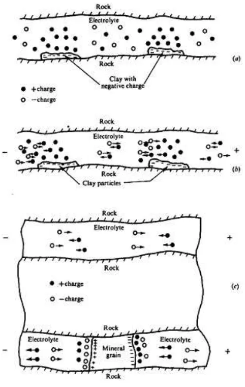 Gambar 2. 8 Efek polarisasi membran dan elektroda (a) distribusi normal dari  ion-ion batu pasir berpori, (b) polarisasi membran pada batu pasir berpori sehubungan dengan adanya arus dc yang dialirkan, dan (c) aliran arus listrik pada pori bagian atas dan polarisasi (Telford, 1990) 