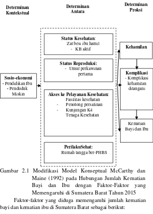 Gambar 2.1 Modifikasi Model Konseptual McCarthy dan 