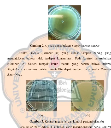 Gambar 2. Uji resistensi bakteri Staphyloccous aureus 