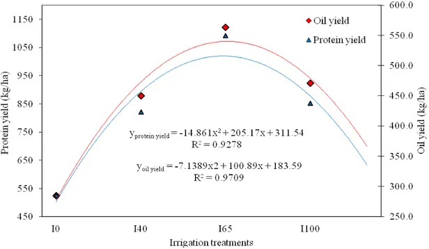 Figure 1. The relationship between amount of irrigation water – protein yield and oil yield