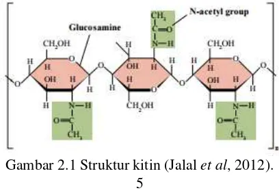 Gambar 2.1 Struktur kitin (Jalal et al, 2012). 