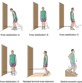 Gambar 9.  Beberapa macam latihan  rehabilitasi (White et al, 2009)