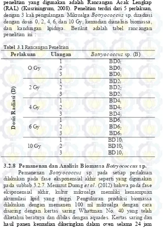 Tabel 3.1 Rancangan Penelitian 